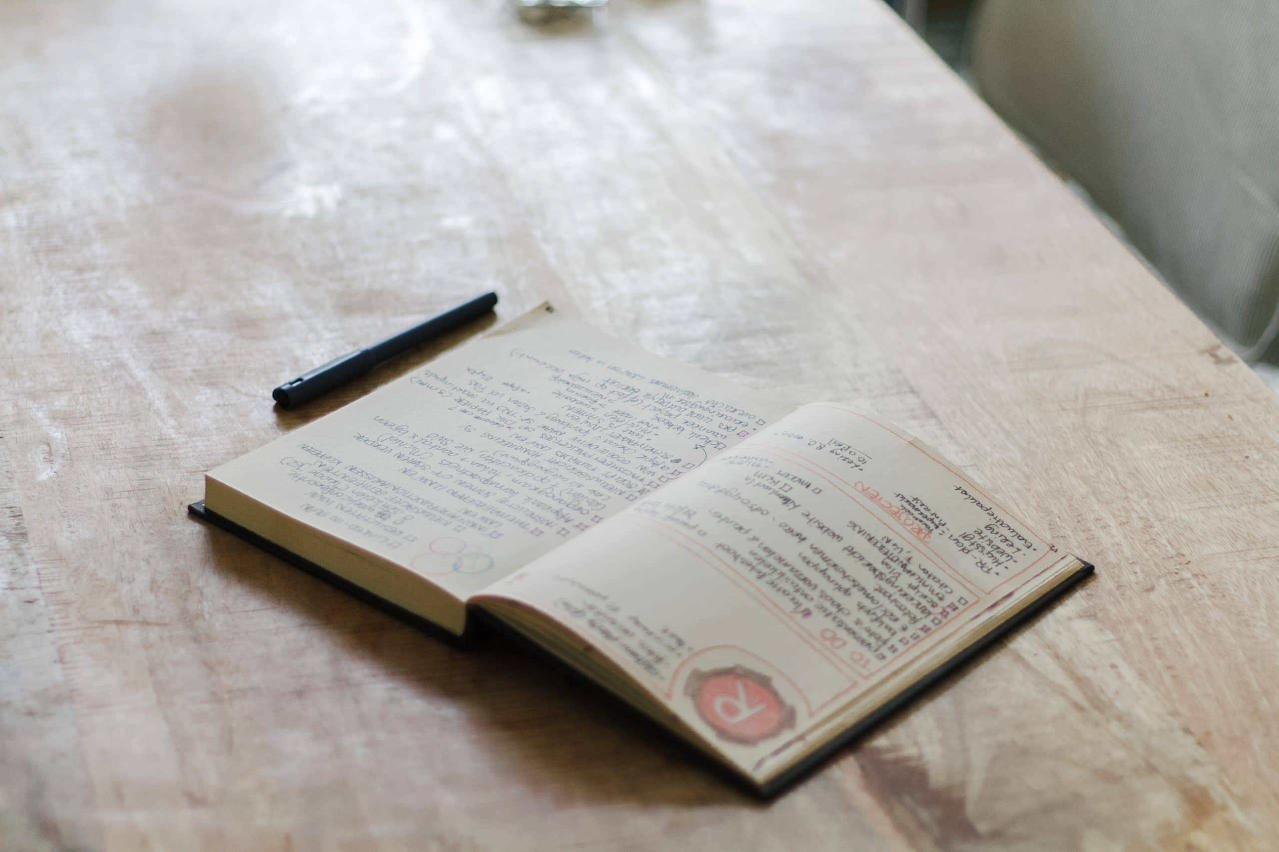 Professional Organizer Bullet Journal ViaRosa